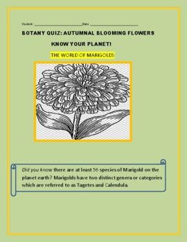 Colorful Marigolds - I planted seeds from marigolds I grew from a previous season. . Marigolds studysync quiz answers